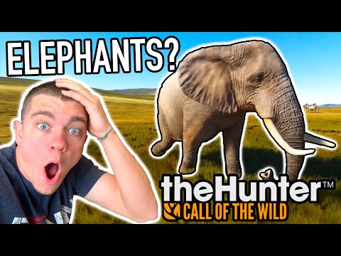 HUNTING ELEPHANTS??? Hunter Call of the Wild Ep.37 - Kendall Gray