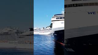 ,3 beautiful ships at Ketchikan Alaska +Grand princess #shortvideo #alaska2024 #cruiseship