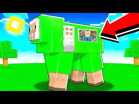 Hemmelig Base i Et Får! - Dansk Minecraft