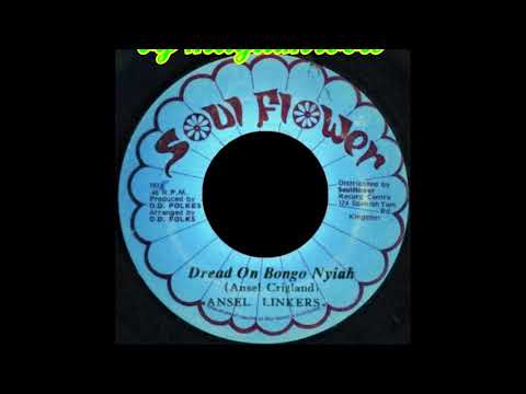 Ansel Linkers - Dread On Bongo Nyah