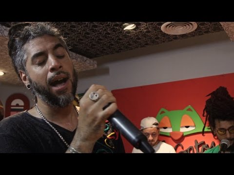 BlackDali - Experiencia Rasta - Reggae en PelaGatos