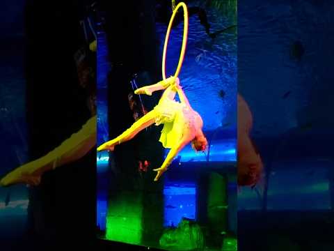 Aerial Hoop Performance at Mermaid Show | Guangzhou