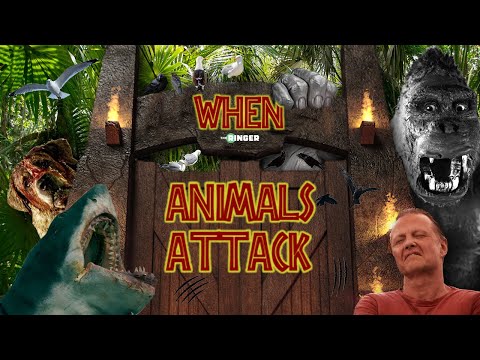 A Very Good Video Essay About Why People Can't Get Enough Of Those 'When Animals Attack' Movies