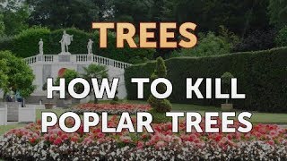 How to Kill Poplar Trees