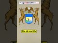 The Michigan Flag Explained | Flag Facts #michigan #history #flag #usa #vexillology