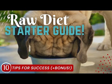 Raw Diet for Large Breed Dogs Starter Guide - Top 10 Tips + BONUS [Raw Dog Food PREP & FEED With Me]