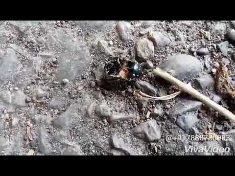 Kudrat ka anokha Karishma