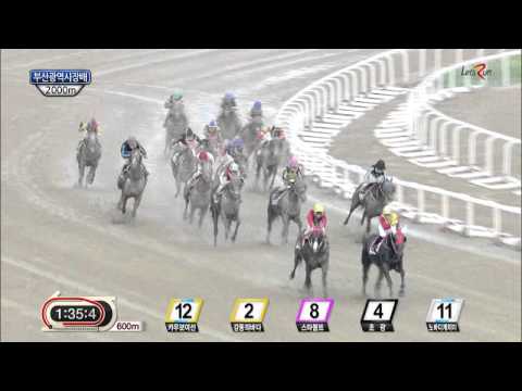 Busan Metropolitan City Stakes 2014 - Nobody Catch Me