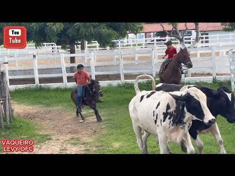 JUNTANDO O GADO PRA DA UM TREINO