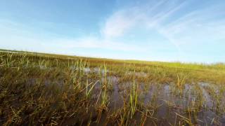 preview picture of video 'Gator Park - Florida - Everglades - GoPro Hero 4'