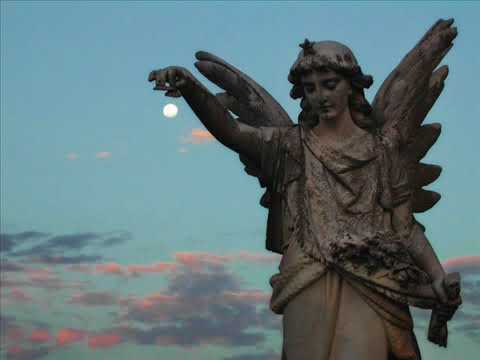 Coma Sector - In the Name of the Dog - Psychedelic.com.br