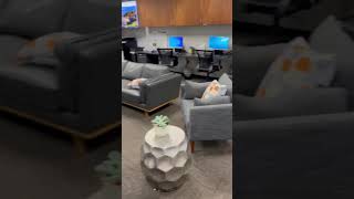 Video preview image #1 Chihuahua-Unknown Mix Puppy For Sale in Corona, CA, USA