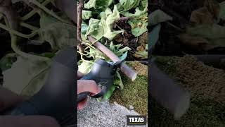 Akumulátorové zahradní nůžky TEXAS GS 1680Li