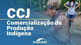 CCJ debate PEC da autonomia econômica para indígenas - 3/12/25