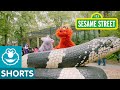 Sesame Street Murray Goes To The Zoo Murray Had A Little Lamb