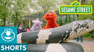 Sesame Street: Murray Goes to the Zoo | Murray Had a Little Lamb