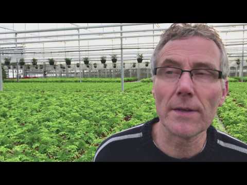 Koos Hoogendoorn (LTO Glaskracht) over water