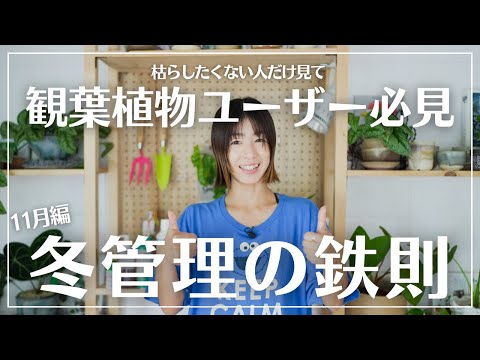 冬に植物を雪から守るにはどうすればよいですか？寒さや霜によるダメージを防ぐ4つのヒント  庭園