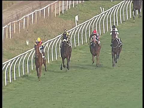 Galoppo 17/02/2018 - 2ª corsa