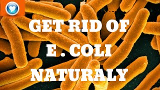 How to Get rid of E.coli Forever with the help of this natural remedy