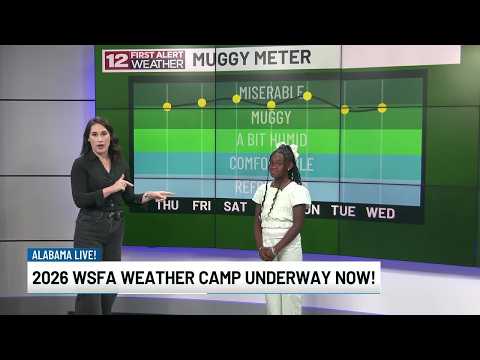 Wsfa Com