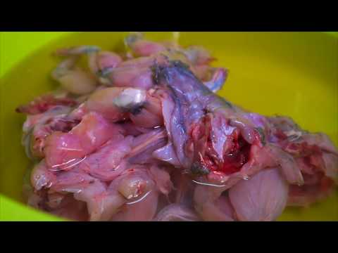 Amazing Frog Tom Yum Soup Recipe | Dary Cooking