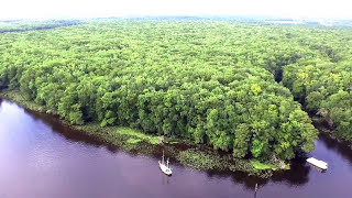 Suwanee River fishing  Mothman ,Kickin wing, Gray squirrel, venom