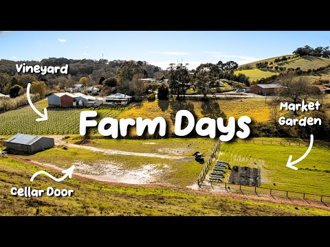 3 Days Of Non-Stop Farm Work
