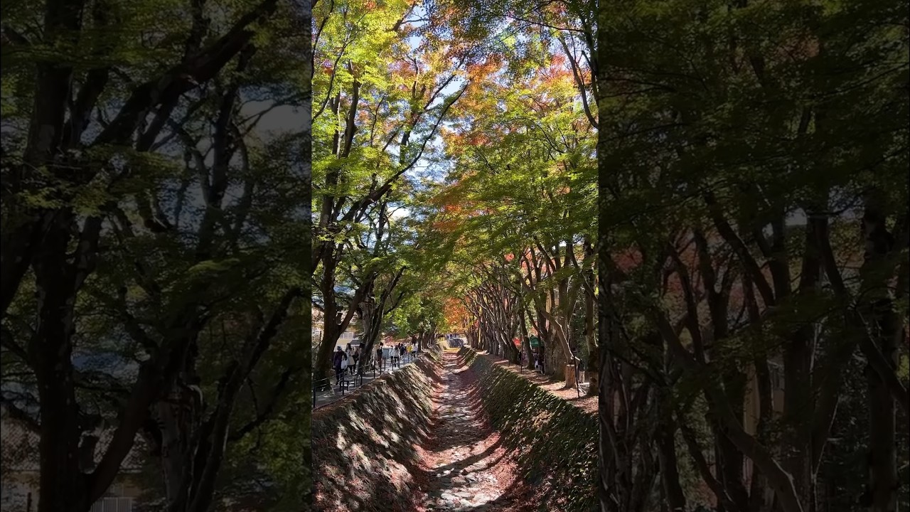 YouTube Short thumbnail