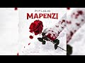 Pipi Jojo Mapenzi Official Audio Lyrics
