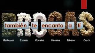 Dile no a las drogas-bronco(letra)