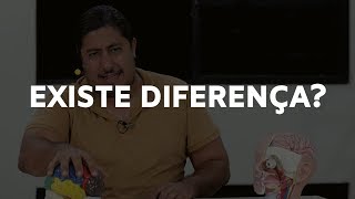 Existe diferença entre o cérebro masculino e feminino?