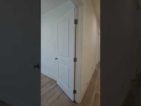 AVALON (10960) - Video 2 of 2