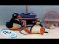 Best Episodes From Season 1 Pingu Official Channel Cartoons For Kids