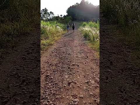 Viaje a El Soberbio #misiones