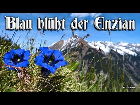 Blau blüht der Enzian [German folk song][+English translation]