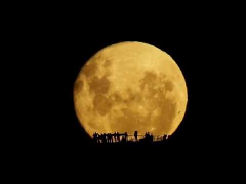 Full Moon Silhouettes