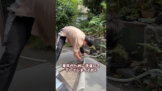 【リフォームもどき】網戸を張り替えてみた