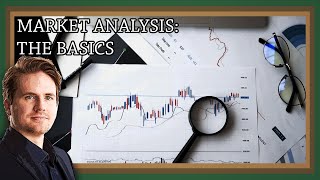 The Basics of Market Analysis for a Business Plan
