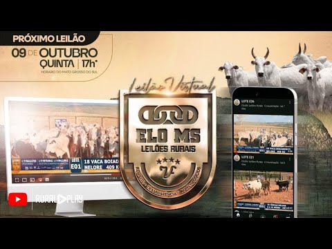 121º LEILÃO VIRTUAL ELO MS - CAMAPUÃ/MS - RURAL PLAY