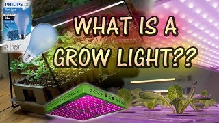 What is a Grow/Plant Light? Do You Need One?