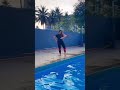 It S Our Version In Swimming Pool Trending Shorts Funny Pooldance Dance Viral Viralvideo