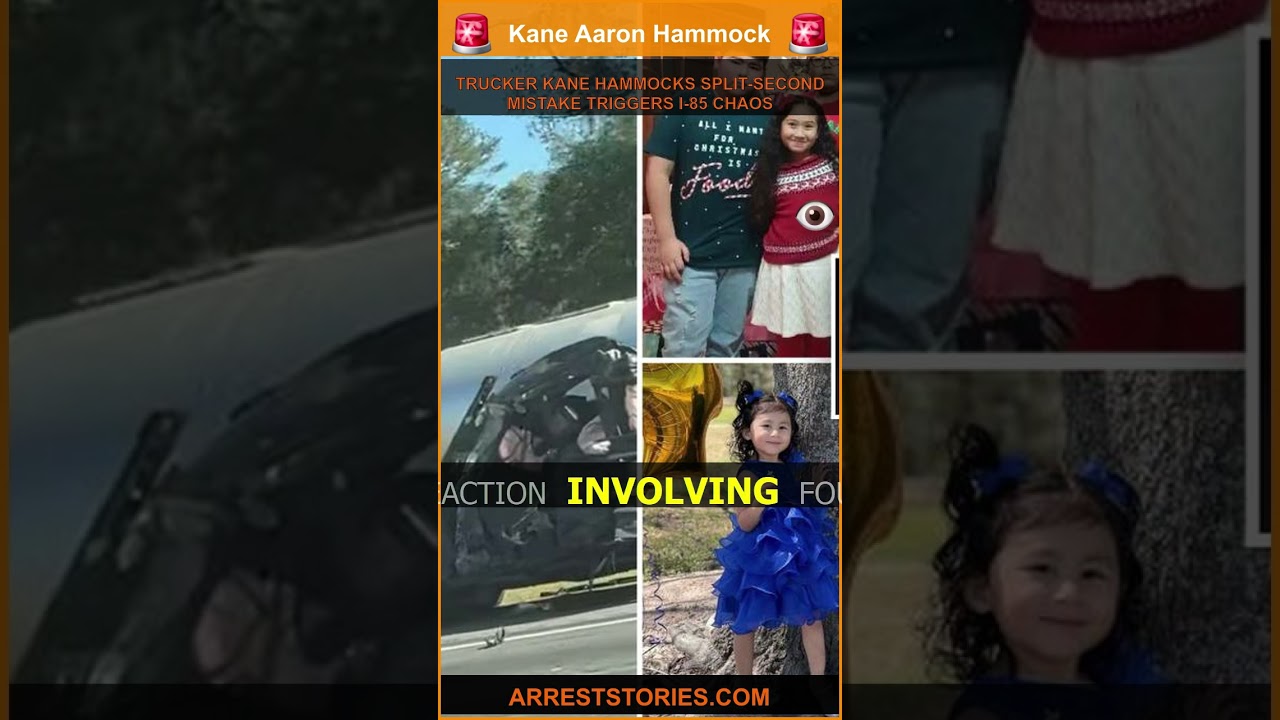 TRUCKER KANE HAMMOCKS SPLIT-SECOND MISTAKE TRIGGERS I-85 CHAOS