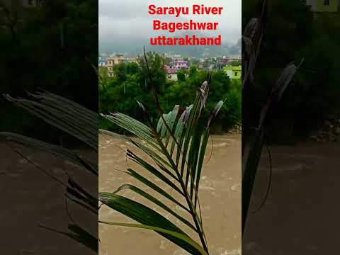 sarayu river view with amazing instrumental music status!! #shorts!! #youtubeshorts!! #nature videos