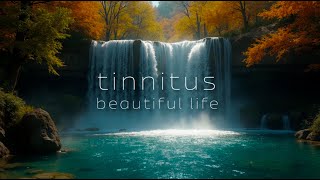 Beautiful Life