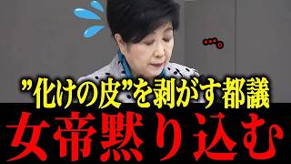 【さとうさおり】※小池の矛盾を女性都議が激詰め【佐藤沙織里 消費税 東京都議会本会議】