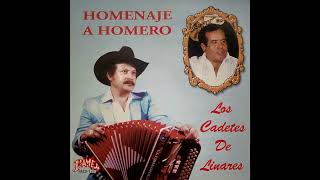 Te Voy A Cantar - Los Cadetes De Linares