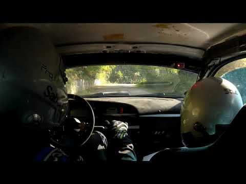 Camera Car Bosco Emanuele-Scandola Tamara (Renault Megane A7) - Rally Due Valli 2017 -