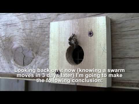 Bait Hive, the easiest way to catch a swarm - Bee Vlog #90 - Apr 25, 2013