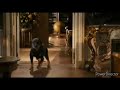 Garfield A Tale Of Two Kitties Dog Trousers